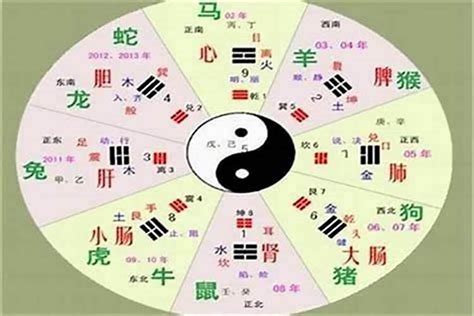 珊 五行|珊字的五行属性是什么